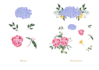 draw flowers digital illustrations in watercolour style