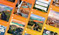 create social media content for ig, facebook