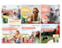 create eyecatching social media graphics and blog visuals
