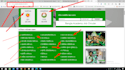 do social media profile creation and full setup