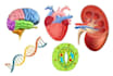 design physics chemistry, biology and science illustrations