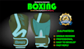 do professional boxing gloves and boxing equipment design