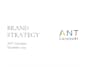 create your marketing and brand strategy