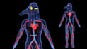 create perfect 3d nft character, 3d nft collection and 3d modeling