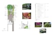 design your front yard