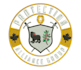 do embroidery digitizing logo or vector line into dst emb pes