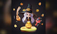 create a custom 3d chibi character from your idea
