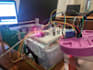 do iot projects in arduino and esp32 programming using tinkercad