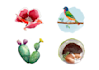 create a hand painted watercolor logo for your brand