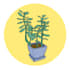 draw custom clip art, graphics, and gifs