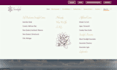 build or fix divi header, divi mega menu, and divi footer for you