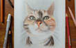 draw realistic color pencil pet portrait, pet sketch