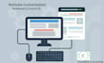 do the netsuite customization and suitescript development