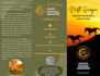 create a beautiful and professional tri fold brochure
