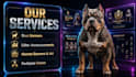 design premium stud flyers and breeding banners