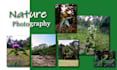 provide high quality nature photographs
