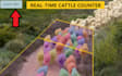 develop a custom object detection model using ml