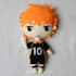 make plush or rag doll based on your design