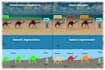 train your custom computer vision model