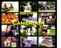 do anything related to cameroon