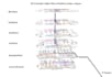 do fiber planning and design gpon, ftth, fttb network