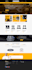 develop wordpress website and ecommerce store