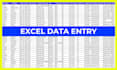 do accurate data entry, copy paste, and PDF to excel