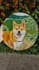 paint your dog, cat, rabbit, other pets with acrylics