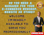 build, manage, design, virtual assist your wix, shopify website or store