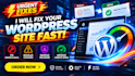 fix wordpress errors, crashes, malware and slow website issues