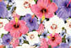 create seamless  pattern of fabric textile floral prints