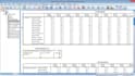 professionally do data analysis using eviews spss and excel