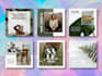 design sleek and converting social media post and be your social media manager