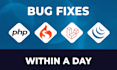 do php bug fix, laravel bug fix and codeigniter bug fix