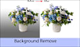 do background remove with clipping path by pen tool