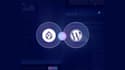 fix drupal bugs, update modules, and customize your website