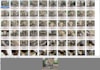 process your photos into a 3d mesh photogrammetry