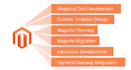 fix bugs, install theme, anything in magento all version