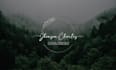 design handwritten, scripted, signature, calligraphic logo