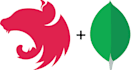 build apis with nodejs, nestjs, expressjs and mongodb