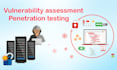 professionally do vulnerability assessment and penetration testing ,pentest