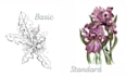 draw flowers, trees or botanical illustration