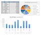 do perfect and presentable data entry in excel