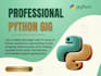 do professional python django development