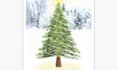 draw greeting, christmas, birthday card, postcard