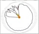 do statistical analysis of biological data