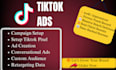 setup and manage your tiktok ads campaigns for leads and  sales