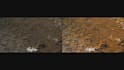 professional video color grading and color correction