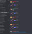 setup your professional discord