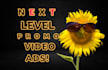 provide impactful product promo videos for business